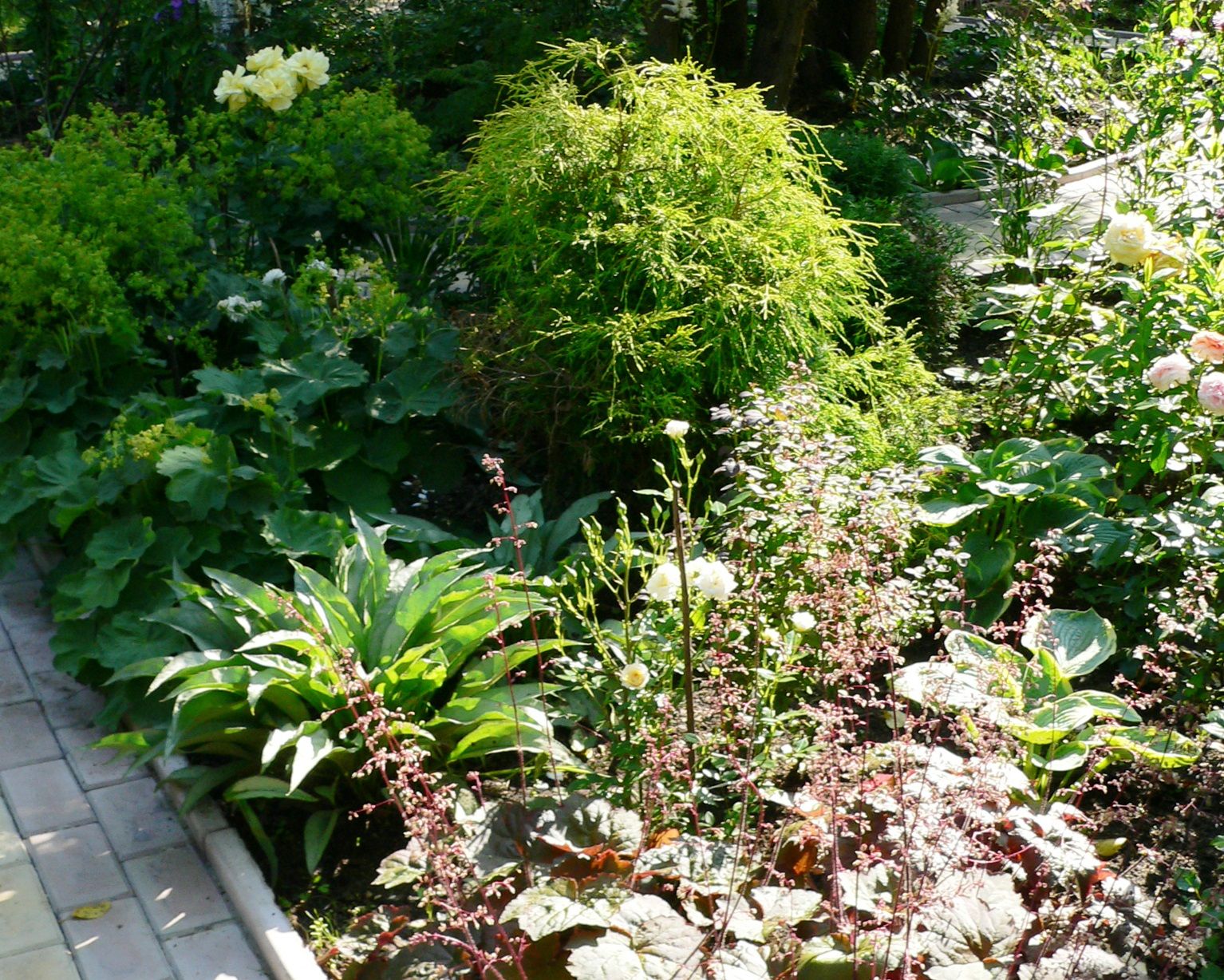 Проект Дачная Поляна